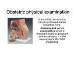 Obstetric physical examination