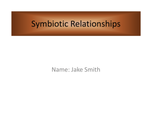 Symbiotic Relationships