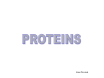 Fibrous proteins