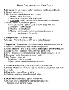 HUMAN Body systems and Major Organs