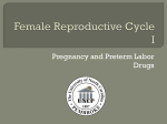 Female Reproductive Cycle I