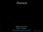 Darwin - Brian O`Meara Lab