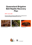 Queensland Brigalow Belt Reptile Recovery Plan