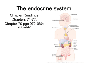 3-endocrine