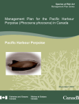 Management Plan for the Pacific Harbour Porpoise (Phocoena