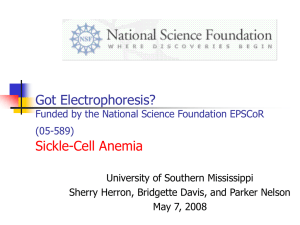 Sickle Cell Workshop