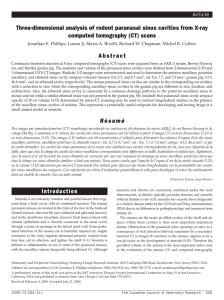 Introduction Three-dimensional analysis of rodent paranasal sinus