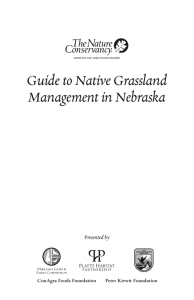 Guide to Native Grassland Management in