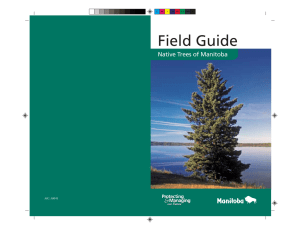 Field Guide to the Trees of Manitoba.
