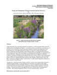 Purple loosestrife - MSU Extension Invasive Plants