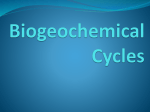 Biogeochemical Cycles - Ms. Mogck`s Classroom