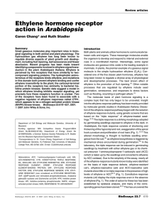 Ethylene hormone receptor action in Arabidopsis