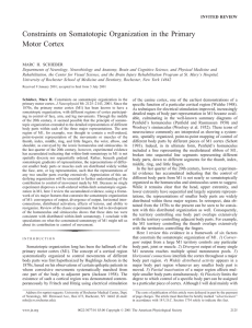 Constraints on Somatotopic Organization in the Primary Motor Cortex