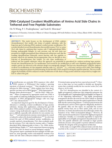 DNA-Catalyzed Covalent Modification of Amino Acid Side Chains in