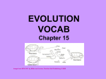 Chapter vocab
