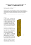 1. The Influence of the Human Body on Electric and Magnetic Field