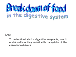 Revision PPT on enzymes File