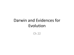 Ch22 Darwin and Evidences for Evolution