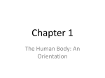 Chapter 1 - Maintaining Life