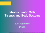 Overview of Cells and Body Systems - Moodle