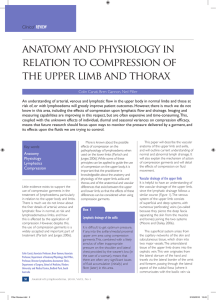 anatomy and physiology in relation to compression of the upper limb