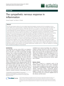 The sympathetic nervous response in inflammation