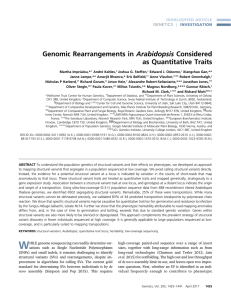 View PDF - Genetics