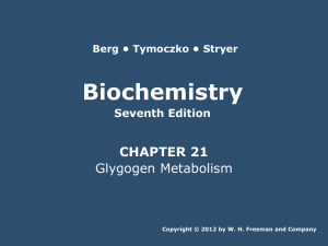 Biochemistry 7/e