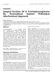 Surgical Excision Of A Craniopharynginoma By Transcallosal