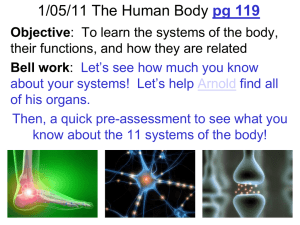 2010-2011 Human Body Systems iv