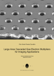 Large Area Cascaded Gas Electron Multipliers for