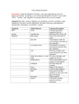 Cell Labeling Worksheet Instructions: Using the Organelle List