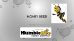 HONEY BEES!