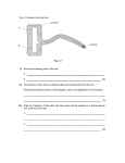 2. Specify the similarities and differences between plant and animal