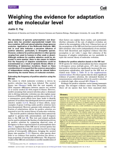 Weighing the evidence for adaptation at the molecular level