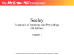 Seeley Essentials of Anatomy and Physiology 6th