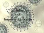 Virus and Immune Response