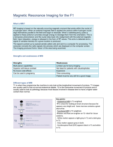 Magnetic Resonance Imaging for the F1