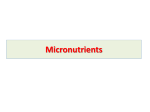 3 .Micronutrients GIT