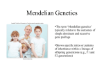 C-13 Mendelian Genetics