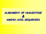 Alignment of amino-acid and nucleotide sequences