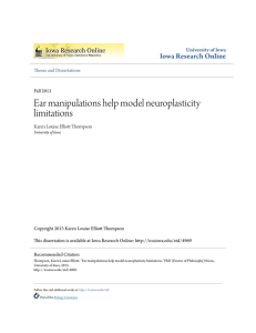Ear manipulations help model neuroplasticity limitations