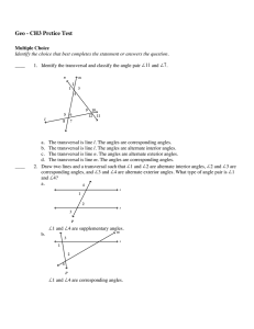 Geo - CH3 Prctice Test