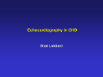 echocardiography in chd