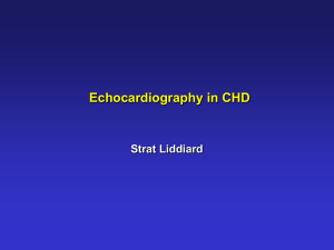 echocardiography in chd