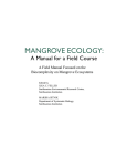 mangrove ecology