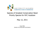 Species of Greatest Conservation Need Priority Species for NYC
