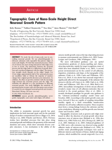 Topographic cues of nanoscale height direct neuronal growth pattern