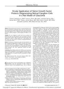 Ocular Application of Nerve Growth Factor Protects