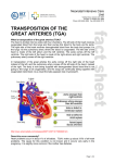 transposition of the great arteries (tga)